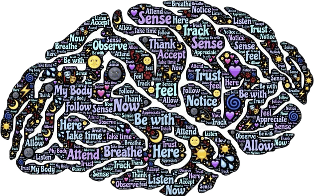 parts of our brain dedicated to senses