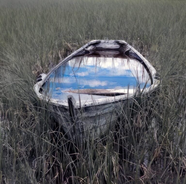 Abandoned boat in overgrown grass field.