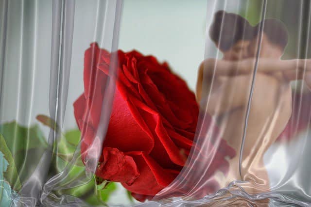 Two people making love behind a curtain