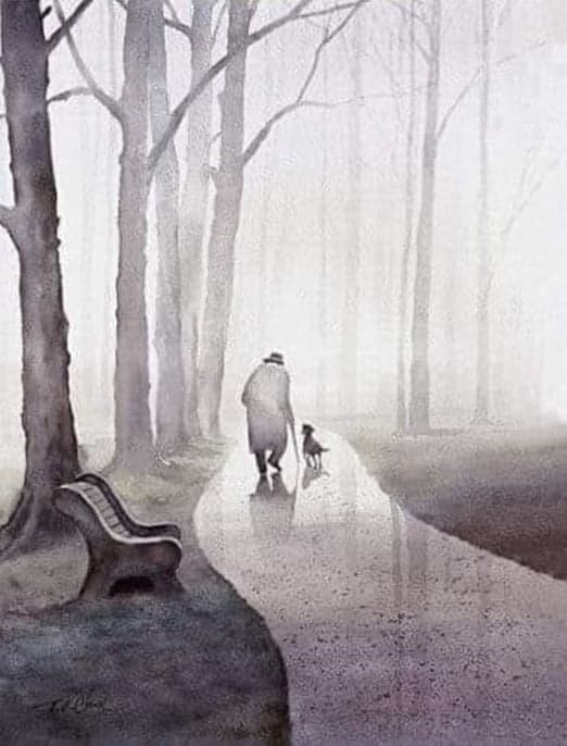 Person and dog walking in foggy, tree-lined path.