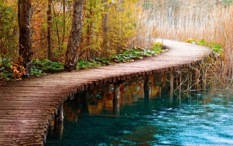 the road to self knowledge and understanding