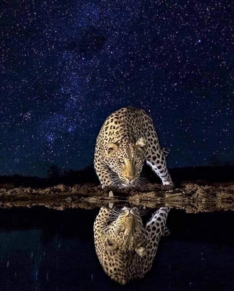 the outside is within you