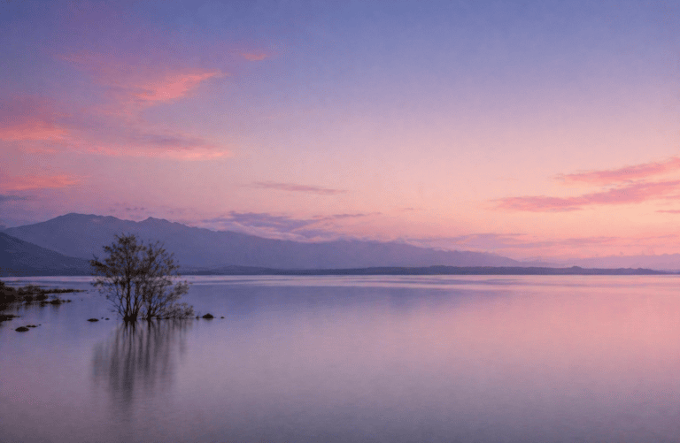 Calm lake at dusk with a small tree in shallow water and distant mountains under a soft pastel sky.