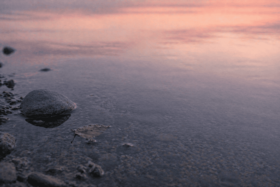 Still water at the edge of a lake with a small stone and a leaf resting beneath a soft dusk sky.